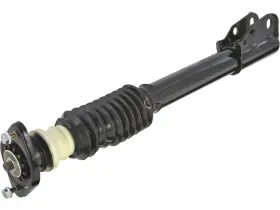 65542ksbg Api For 1992-1999 Oldsmobile 88 Strut And Coil Spring Assembly Rear