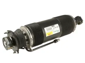 52pcdd99 Arnott Rear Right Shock Absorber For Sl55 Amg Sl65 2003 2005 2004 2006