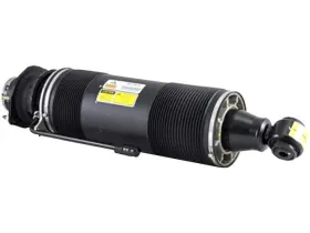 78hbzs15 Arnott Rear Right Strut Assembly For Sl55 Amg Sl65 2003 2005 2004 2006