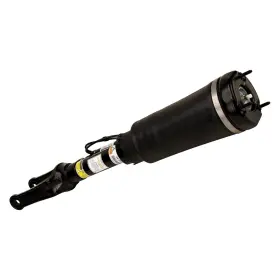 As-2833 Arnott For Mercedes-benz R350 07-13 Front Driver Or Passenger Side Air Strut