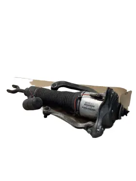 As-3128 Arnott Air Suspension Strut-new