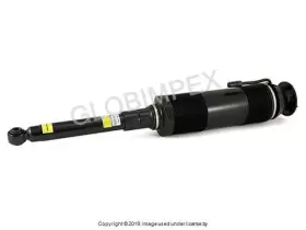 Arnott Industries 220 320 17 38 88 Mercedes Cl55 Amg 2003-2006 Shock Absorber Hydropneumatic Spring Leg Rebuilt