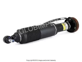 Arnott Industries 230 320 87 13 88 Mercedes Sl500 2003-2006 Shock Absorber Hydropneumatic Spring Leg Rebuilt