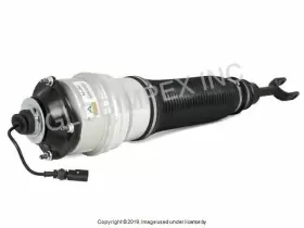 Arnott Industries 4e0 616 039 For Audi 2004-2010 Air Suspension Strut Fr. Left Driver Side