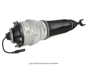 Arnott Industries 4e0 616 040 Audi A8 Quattro 2004-2010 Air Suspension Strut Front Right