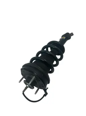 Sk-3354 Arnott - Fr Coil-over Eibach Strut 15-20 Cad Suvs Chev Silver/suvs