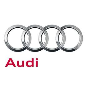 Audi 85e-513-035-p Genuine Shock Abs