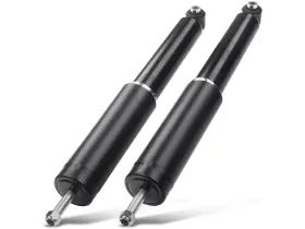 Pg96s8 Autopart Premium Rear Shock Absorber Set For 04-09 Mercedes E350 E320 E63 Amg 3.2l V6 3.5l