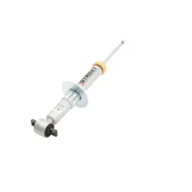 Tlx-bel25007-cl360a70 Belltech Lowering And Lifting Strut Assembly For Ford F-150 2015 2016 2wd