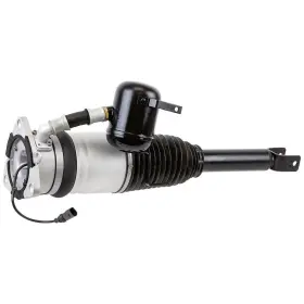 75-00116r Buyautoparts For Audi A8 S8 Quattro 2004-2010 Rear Left Driver Air Shock Csw