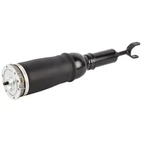 75-20275r Buyautoparts For Audi Allroad Quattro 2001 2002 2003 2004 2005 Front Air Strut