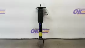 10302877 Chevrolet 03 Chevy Corvette C5 50th Anniversary F55 Shock Strut Rear Right Passenger
