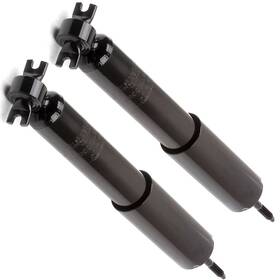 Choiceshare 11250082 For 95-02 Mercury Grand Marquis 93-02 Ford Crown Victoria Front Shock Strut Pair