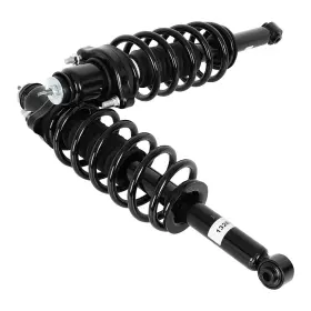 13116678 Csdex 2pcs For 2008 2009 2010 Chrysler Sebring 172331 Rear Complete Strut Coil Spring