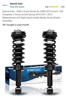 171141 Detroit Axle Struts