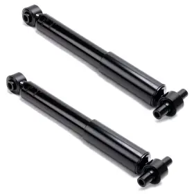 17720666 Evan-fischer Set Of 2 Shock Rear Driver And Passenger Side For Chevy Left Right Gmc Buick Pair