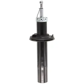 17805008 Evan-fischer Bare Strut Front Driver Or Passenger Side Right Left Driver/passenger Left/right
