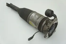 4w0616001 Exotic Vehicles Rear Left Air Shock Spring Strut Bentley Continental Flying Spur 14-18