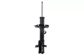 333969l Focus Auto Parts Genuine Suspension Strut