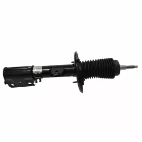 Db5z-18124-ac Ford Genuine Strut