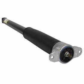 Ford Fv6z-18125-ba Genuine Shock Assembly
