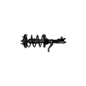 G57085 Gabriel Fully Loaded Strut Assembly