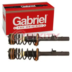 Sx-4698 Gabriel 2 Pc Rear Suspension Strut And Coil Springs For 1999-2001 Chrysler Lhs Gw