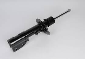 Gm 19209549 Genuine Suspension Strut