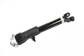 Gm 84235054 Genuine Rear Shock Absorber