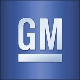 85717954 Gm Genuine W S Absorber