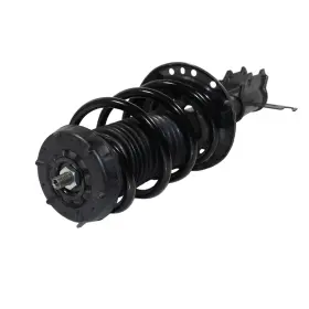 810227 Gsp Suspension Strut And Coil Spring Assembly P N