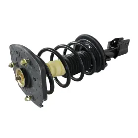 810319 Gsp Suspension Strut And Coil Spring Assembly P N