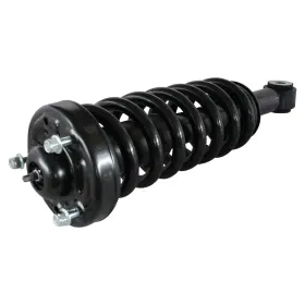 811325 Gsp Suspension Strut And Coil Spring Assembly P N
