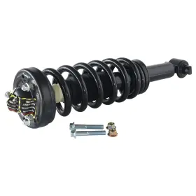 811369 Gsp Suspension Strut And Coil Spring Assembly P N