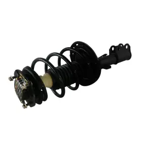 869340 Gsp Suspension Strut And Coil Spring Assembly P N