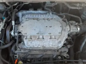 527-60492ar Honda Passenger Right Strut Front Fits 05-07 Odyssey 25694809