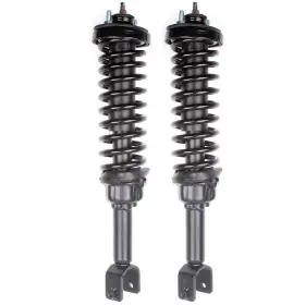 11944182 Joy2buy 2x Rear Quick-strut Complete Shocks Springs Assemblies For 1992-95 Honda Civic