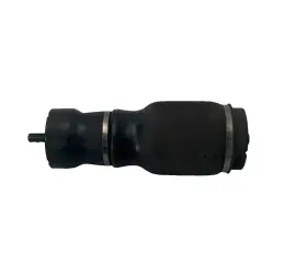 Rkb500082 Land Rover 03-12 Range Hse Passenger/driver Rear Air Suspension Shock Oem