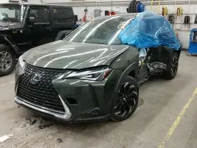 527.le1t20 Lexus Strut For 2020 Ux250h Assy Left Frnt