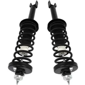12395372 Luxfineparts Rear Complete Strut And Assembly For 2013-2017 Honda Accord Left Right