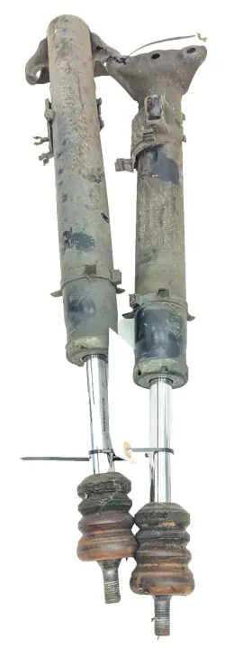 1243204030 Mercedes-benz 90-95 W124 E320 300te Wagon Front Shock Strut Left And Right Set Oem