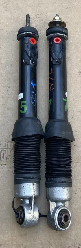 1293200113 Mercedes-benz 90-95 R129 600sl 300sl Rear Left And Right Shock Strut Absorber With Ads Oem