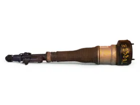 21091022027514 Mercedes-benz 2010 - 2013 S Class W221 S400 Air Suspension Strut Shock Rear Left Oem