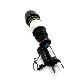 2193201113 Mercedes-benz 06-11 Cls500 Cls550 W219 Left Front Driver Airmatic Air Shock Strut