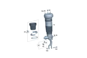 223-320-73-02 Mercedes-benz Genuine Air Spring Strut