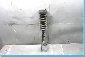 A1643203113 Mercedes-benz 06-11 Ml350 Ml500 Front Left Shock Spring Strut Oem