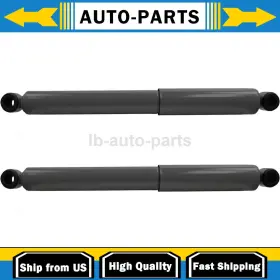 Stsu240225l1313 Monroe 2pcs Shocks And Struts Shock Absorber Front Fits Freightliner Classic