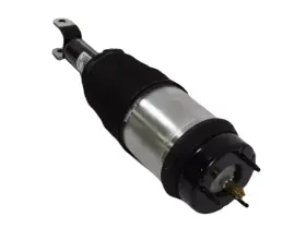 68409690ae Mopar Genuine Air Suspension Spring And Shock Assembly Right