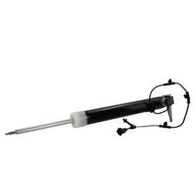 Motorcraft Ash-866102 Genuine Suspension Shock Absorber