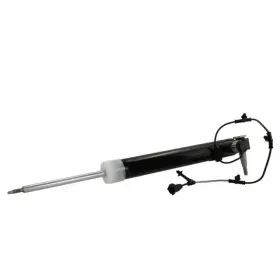 Ash-866102 Motorcraft Genuine Suspension Shock Absorber